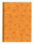 Notizbuch-Kleeblätter-Tucson-orange 