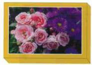 Grußkarten-Kassette-Sommerblumen 