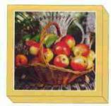 Grußkarten-Kassette-Früchte 