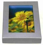 Grußkartenbox-Sonnenblumen 