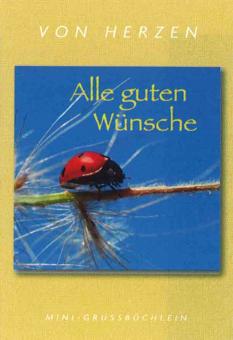Karte mit Mini-Grußbüchlein-Alle guten Wünsche - aus 95950/3 