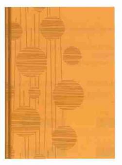 Notizbuch-Kreise mit Linien-Tucson-orange 