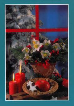 Grußkarten-Kassette-Weihnacht 